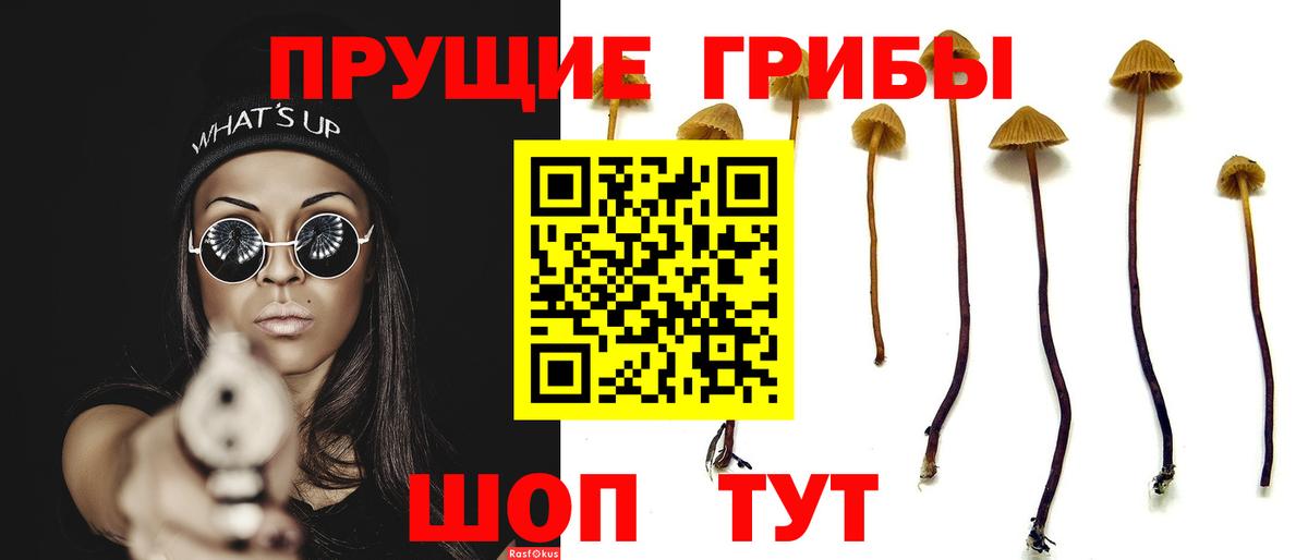 Галлюциногенные грибы мухоморы Югорск
